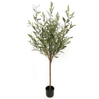 Toolhome Blossoms – Olive Tree in Pot (150cm) Toolhome Blossoms – Olive Tree in Pot (150cm)