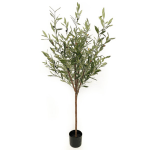 Toolhome Blossoms – Olive Tree in Pot (150cm) Toolhome Blossoms – Olive Tree in Pot (150cm)