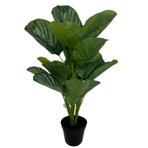 Toolhome Blossoms – Calathea in a Pot (Real Touch) – 56cm Toolhome Blossoms – Calathea in a Pot (Real Touch) – 56cm