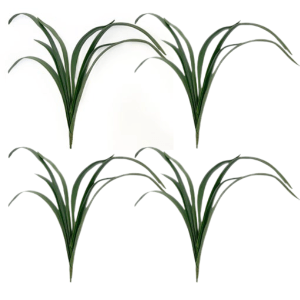 Toolhome Blossoms – Cymbidium Leaves (Pack of 4 Stems) – 27cm Toolhome Blossoms – Cymbidium Leaves (Pack of 4 Stems) – 27cm