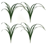 Toolhome Blossoms – Cymbidium Leaves (Pack of 4 Stems) – 27cm Toolhome Blossoms – Cymbidium Leaves (Pack of 4 Stems) – 27cm