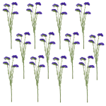 Toolhome Blossoms – Statice – Purple (Pack of 12 Stems) – 68cm Toolhome Blossoms – Statice – Purple (Pack of 12 Stems) – 68cm