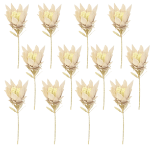Toolhome Blossoms – Proteas – Light Pink (Pack of 12 Stems) – 38cm Toolhome Blossoms – Proteas – Light Pink (Pack of 12 Stems) – 38cm