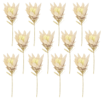 Toolhome Blossoms – Proteas – Light Pink (Pack of 12 Stems) – 38cm Toolhome Blossoms – Proteas – Light Pink (Pack of 12 Stems) – 38cm