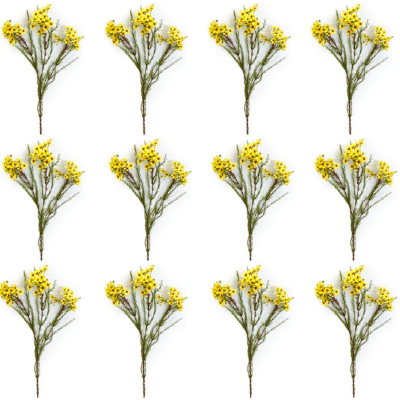 Toolhome Blossoms – Wax Flowers – Yellow Gold (Pack of 12 Stems) – 78cm Toolhome Blossoms – Wax Flowers – Yellow Gold (Pack of 12 Stems) – 78cm