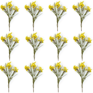Toolhome Blossoms – Wax Flowers – Yellow Gold (Pack of 12 Stems) – 78cm Toolhome Blossoms – Wax Flowers – Yellow Gold (Pack of 12 Stems) – 78cm