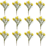 Toolhome Blossoms – Wax Flowers – Yellow Gold (Pack of 12 Stems) – 78cm Toolhome Blossoms – Wax Flowers – Yellow Gold (Pack of 12 Stems) – 78cm