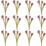 Toolhome Blossoms – Wax Flowers – Plum – Pack of 12 Stems – 78cm Toolhome Blossoms – Wax Flowers – Plum – Pack of 12 Stems – 78cm