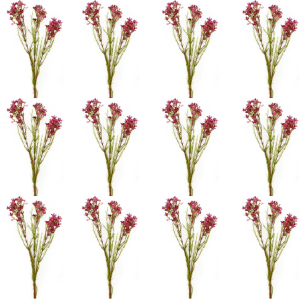 Toolhome Blossoms – Wax Flowers – Plum – Pack of 12 Stems – 78cm Toolhome Blossoms – Wax Flowers – Plum – Pack of 12 Stems – 78cm