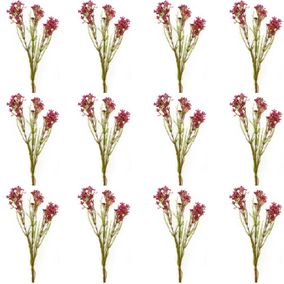 Toolhome Blossoms – Wax Flowers – Plum – Pack of 12 Stems – 78cm Toolhome Blossoms – Wax Flowers – Plum – Pack of 12 Stems – 78cm