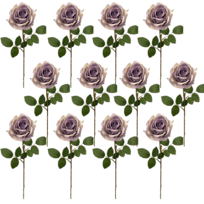 Toolhome Blossoms – Roses – Purple Green (Pack of 12 Stems) – 64cm Toolhome Blossoms – Roses – Purple Green (Pack of 12 Stems) – 64cm