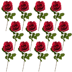 Toolhome Blossoms – Roses – Red (Pack of 12 Stems) – 56cm Toolhome Blossoms – Roses – Red (Pack of 12 Stems) – 56cm