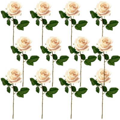 Toolhome Blossoms – Roses – Light Pink (Pack of 12 Stems) – 46cm Toolhome Blossoms – Roses – Light Pink (Pack of 12 Stems) – 46cm
