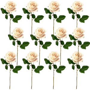 Toolhome Blossoms – Roses – Light Pink (Pack of 12 Stems) – 46cm Toolhome Blossoms – Roses – Light Pink (Pack of 12 Stems) – 46cm