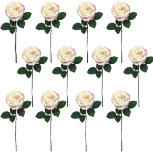 Toolhome Blossoms – Roses – Cream Pink (Pack of 12 Stems) – 46cm Toolhome Blossoms – Roses – Cream Pink (Pack of 12 Stems) – 46cm
