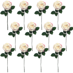 Toolhome Blossoms – Roses – Cream Pink (Pack of 12 Stems) – 46cm Toolhome Blossoms – Roses – Cream Pink (Pack of 12 Stems) – 46cm