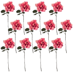 Toolhome Blossoms – Open Roses – Dark Pink (Pack of 12 Stems) – 35cm Toolhome Blossoms – Open Roses – Dark Pink (Pack of 12 Stems) – 35cm