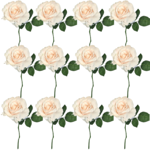 Toolhome Blossoms – Rose Georgia – Dark Pearl (Pack of 12 Stems) – 30cm Toolhome Blossoms – Rose Georgia – Dark Pearl (Pack of 12 Stems) – 30cm