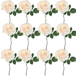 Toolhome Blossoms – Rose Georgia – Dark Pearl (Pack of 12 Stems) – 30cm Toolhome Blossoms – Rose Georgia – Dark Pearl (Pack of 12 Stems) – 30cm