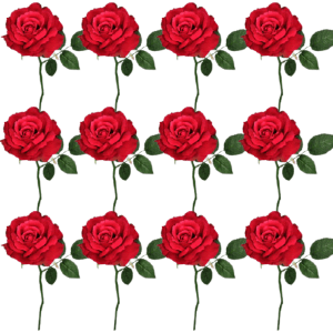 Toolhome Blossoms – Rose Georgia – Wine (Pack of 12 Stems) – 30cm Toolhome Blossoms – Rose Georgia – Wine (Pack of 12 Stems) – 30cm