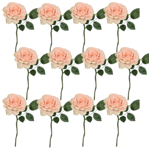 Toolhome Blossoms – Rose Georgia – Baby Pink (Pack of 12 Stems) – 30cm Toolhome Blossoms – Rose Georgia – Baby Pink (Pack of 12 Stems) – 30cm