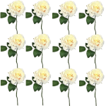 Toolhome Blossoms – Rose Georgia – Sea Shell (Pack of 12 Stems) – 30cm Toolhome Blossoms – Rose Georgia – Sea Shell (Pack of 12 Stems) – 30cm
