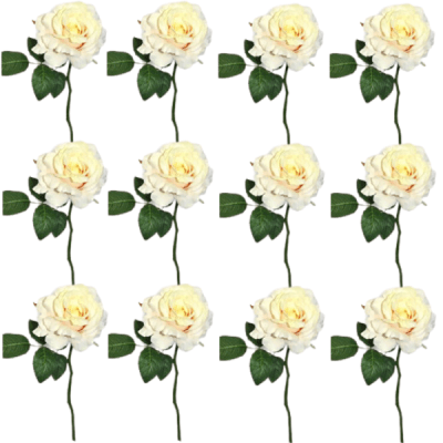 Toolhome Blossoms – Rose Georgia – Sea Shell (Pack of 12 Stems) – 30cm Toolhome Blossoms – Rose Georgia – Sea Shell (Pack of 12 Stems) – 30cm