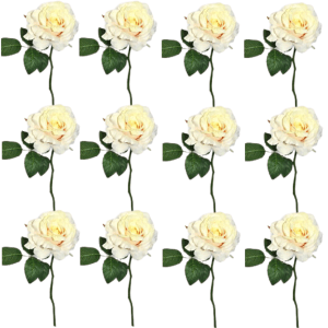 Toolhome Blossoms – Rose Georgia – Sea Shell (Pack of 12 Stems) – 30cm Toolhome Blossoms – Rose Georgia – Sea Shell (Pack of 12 Stems) – 30cm