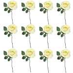 Toolhome Blossoms – Rose Georgia – Lemon (Pack of 12 Stems) – 30cm Toolhome Blossoms – Rose Georgia – Lemon (Pack of 12 Stems) – 30cm
