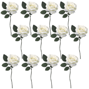 Toolhome Blossoms – Rose Georgia – White (Pack of 12 Stems) – 30cm Toolhome Blossoms – Rose Georgia – White (Pack of 12 Stems) – 30cm
