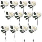 Toolhome Blossoms – Rose Georgia – White (Pack of 12 Stems) – 30cm Toolhome Blossoms – Rose Georgia – White (Pack of 12 Stems) – 30cm
