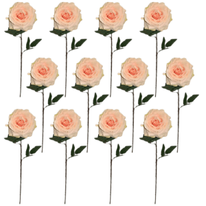 Toolhome Blossoms – Summer Rose – Soft Pink (Pack of 12) – 63cm Toolhome Blossoms – Summer Rose – Soft Pink (Pack of 12) – 63cm