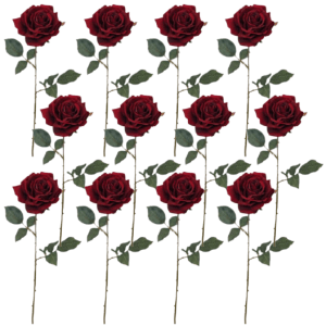 Toolhome Blossoms – Rose Velvet Bella – Red (Pack of 12) – 65cm Toolhome Blossoms – Rose Velvet Bella – Red (Pack of 12) – 65cm