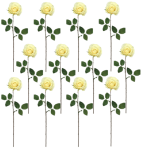 Toolhome Blossoms – Rose Kaia – Cream (Pack of 12) – 64cm Toolhome Blossoms – Rose Kaia – Cream (Pack of 12) – 64cm