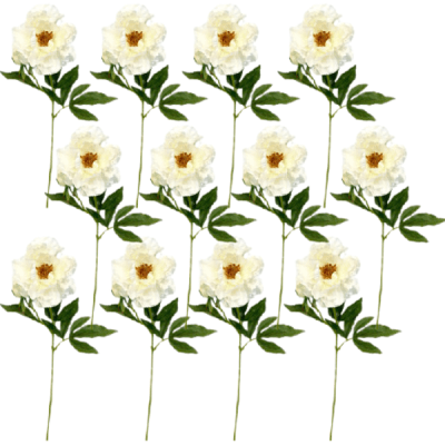 Toolhome Blossoms – Peony – White (Pack of 12 Stems) – 71cm Toolhome Blossoms – Peony – White (Pack of 12 Stems) – 71cm