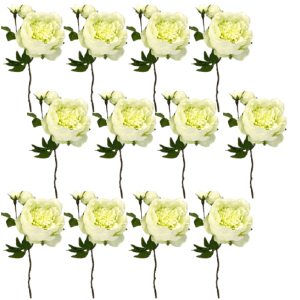 Toolhome Blossoms – Peony – White Green (Pack of 12 Stems) – 49cm Toolhome Blossoms – Peony – White Green (Pack of 12 Stems) – 49cm