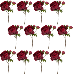 Toolhome Blossoms – Peony – Dark Red (Pack of 12 Stems) – 49cm Toolhome Blossoms – Peony – Dark Red (Pack of 12 Stems) – 49cm