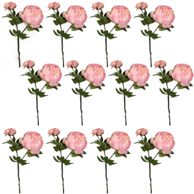 Toolhome Blossoms – Peony – Pink (Pack of 12 Stems) – 49cm Toolhome Blossoms – Peony – Pink (Pack of 12 Stems) – 49cm