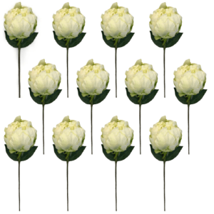 Toolhome Blossoms – Closed Peony – White Green (Pack of 12 Stems) – 32cm Toolhome Blossoms – Closed Peony – White Green (Pack of 12 Stems) – 32cm