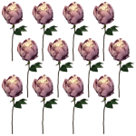 Toolhome Blossoms – Closed Peony – Dusty Pink (Pack of 12 Stems) – 32cm Toolhome Blossoms – Closed Peony – Dusty Pink (Pack of 12 Stems) – 32cm