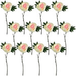Toolhome Blossoms – Peony – Light Pink (Pack of 12 Stems) – 48cm Toolhome Blossoms – Peony – Light Pink (Pack of 12 Stems) – 48cm