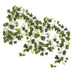 Toolhome Blossoms – Garland Ivy Varigated – Pack of 2 – 183cm Toolhome Blossoms – Garland Ivy Varigated – Pack of 2 – 183cm
