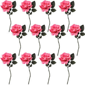 Toolhome Blossoms – Rose Georgia – Dark Pink – Pack of 12 Stems – 30cm Toolhome Blossoms – Rose Georgia – Dark Pink – Pack of 12 Stems – 30cm