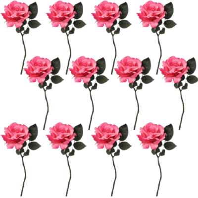 Toolhome Blossoms – Rose Georgia – Dark Pink – Pack of 12 Stems – 30cm Toolhome Blossoms – Rose Georgia – Dark Pink – Pack of 12 Stems – 30cm