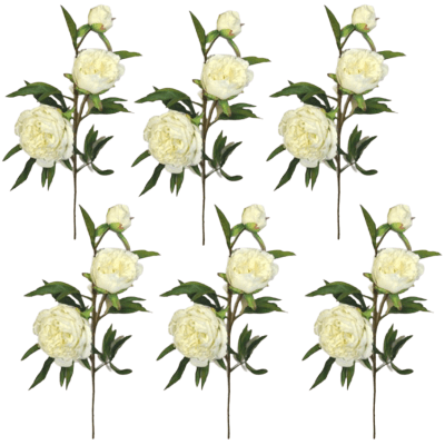 Toolhome Blossoms – Peony Spray – White – Pack of 6 Stems – 74cm Toolhome Blossoms – Peony Spray – White – Pack of 6 Stems – 74cm