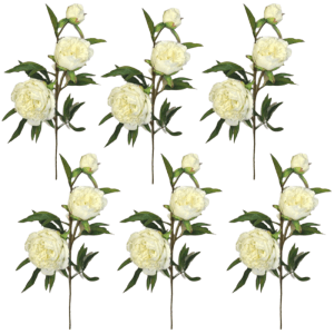 Toolhome Blossoms – Peony Spray – White – Pack of 6 Stems – 74cm Toolhome Blossoms – Peony Spray – White – Pack of 6 Stems – 74cm