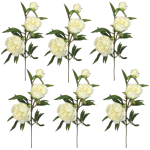 Toolhome Blossoms – Peony Spray – White – Pack of 6 Stems – 74cm Toolhome Blossoms – Peony Spray – White – Pack of 6 Stems – 74cm
