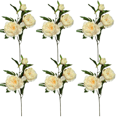 Toolhome Blossoms – Peony Spray – Sea Shell – Pack of 6 Stems – 74cm Toolhome Blossoms – Peony Spray – Sea Shell – Pack of 6 Stems – 74cm