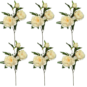 Toolhome Blossoms – Peony Spray – Sea Shell – Pack of 6 Stems – 74cm Toolhome Blossoms – Peony Spray – Sea Shell – Pack of 6 Stems – 74cm