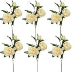 Toolhome Blossoms – Peony Spray – Sea Shell – Pack of 6 Stems – 74cm Toolhome Blossoms – Peony Spray – Sea Shell – Pack of 6 Stems – 74cm